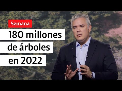 “Colombia debe ser un país con cero deforestación para el año 2030”: Duque | Videos Semana