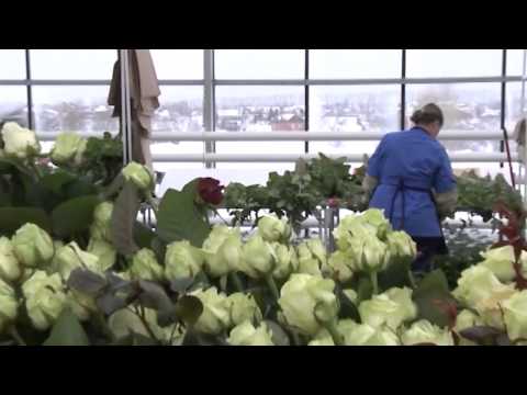 19 марта 2015 Час Пик 19.00 Телекомпания ТВ2.
