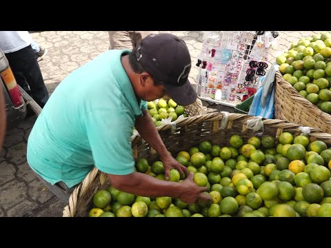 Mercados capitalinos abarrotadas con frutas y dulces para las purísimas