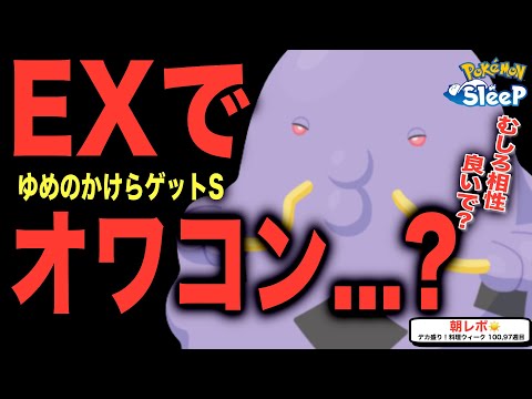 マルノーム、あまりにも無事な話/無課金の1週間リサーチ100週目【ポケモンスリープ】【ゆめのかけらゲットS】