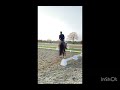 Dressage horse Knap leerpaard