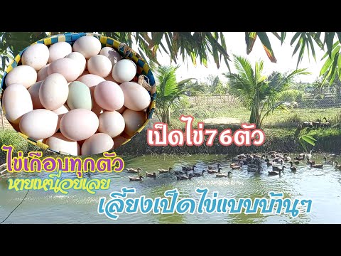 เป็ดออกไข่เพิ่มอีก🦆🥚คิดให้ดีก