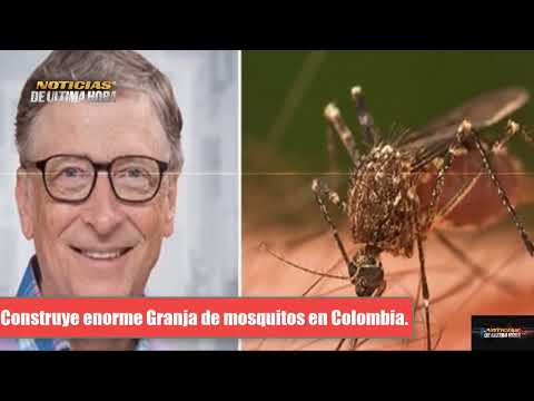 ULTIMA Bill Gates construye granaja para crear 30 millones de mosquitos en Colombia.