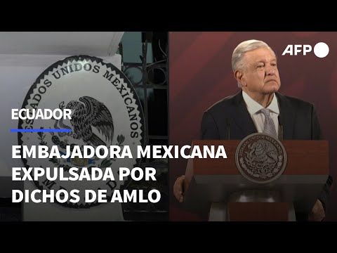 Ecuador declara persona non grata a embajadora mexicana por dichos de López Obrador | AFP