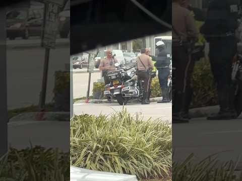 Policía de Miami decomisan scooters que circulaban sin los permisos correspondientes o licencias