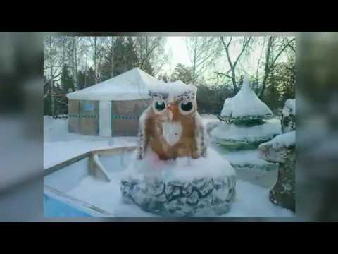Предновогодние хлопоты = Томск хрустальный