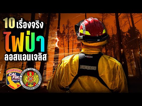 10เรื่องจริง🔥ไฟป่าลอสแอนเจล