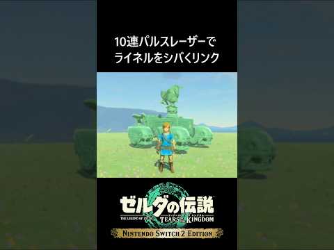 10連パルスレーザーでライネルをシバくリンク