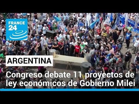 Congreso argentino debate 11 proyectos de ley para desregular la economía • FRANCE 24 Español
