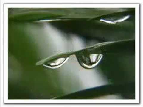 Rain . Jose Feliciano (original vrs 1969)