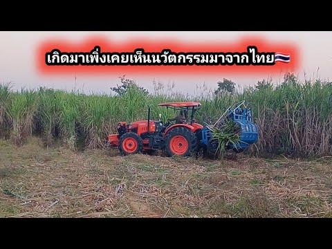 แม่น้องทูที Family คนไทย🇹🇭เอารถมาตัดอ้อยที่ลาวเกิดมาพึ่งเคยเห็นนวัตกรรมจากไทย🇹🇭