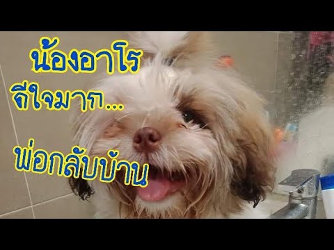 น้องอาโร-ดีใจพ่อกลับบ้าน น้องอาโร-ดีใจพ่อกลับบ้าน