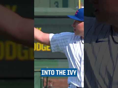 Ian Happ goes into the ivy to make the catch!