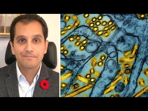 Epidemiologist on what to know about the H5 influenza case in Canada | Bird flu detected in human