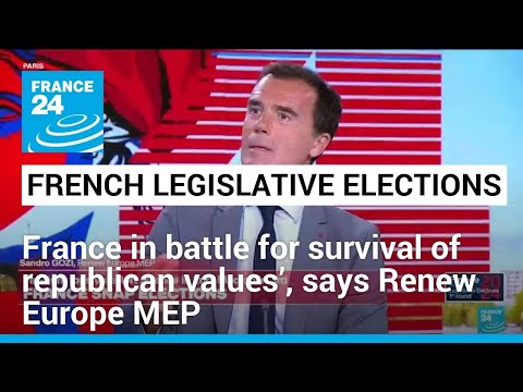 France in 'battle for survival of republican values’, says Renew Europe MEP • FRANCE 24 English