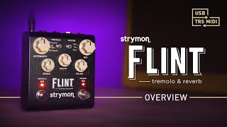 Strymon Flint V.2 – Tremolo & Reverb – Intro