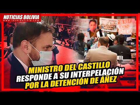? El Min. Eduardo Del Castillo, responde a la interpelación sobre la aprehensión de la señora Añez ?