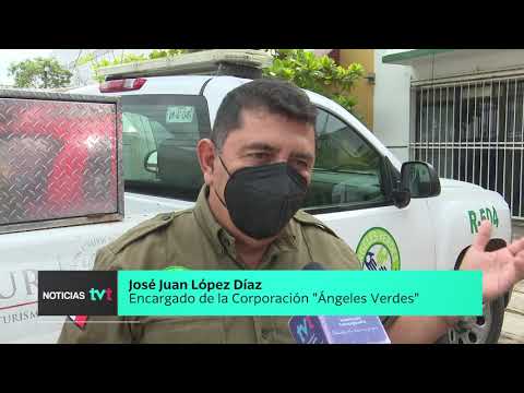 Auxilian Ángeles Verdes a turistas que visitan Tabasco