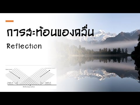 สมบัติการสะท้อนในคลื่นกล