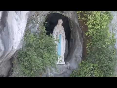 Santo Rosario  Virgen de Lourdes  MISTERIOS LUMINOSOS  Jueves 1 de Agosto de 2024