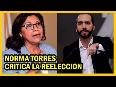 Norma Torres y la critica internacional de la reelección | Oposición pide también el art 87