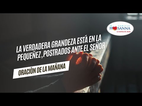 La verdadera grandeza está en la pequeñez #Evangelio?DeHoy, Sábado 20 Julio 2024 #PadreJohn #FH