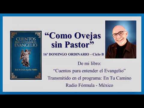 Como Ovejas sin Pastor - Cuento para el 16o Domingo Ordinario B