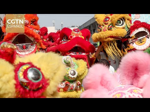 Catedrático peruano señala que celebraciones del Año Nuevo chino en Perú generan dinamismo económico
