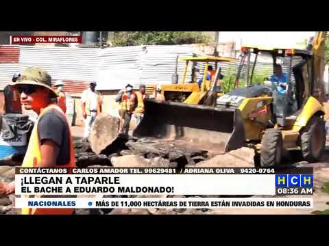 Ante constante presión de Maldonado, la AMDC se activa y repara bachosa calle en Miraflores