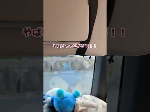 車内に・・・！？ #ハイキュー #リベロ