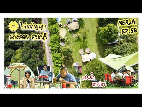 Merjai.58-ไร่อภิญญา-บรรยากาศเห Merjai.58-ไร่อภิญญา-บรรยากาศเห