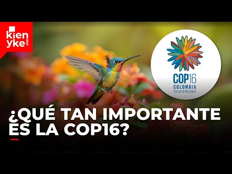 ¿Qué es la COP16, el evento de biodiversidad que se hará en Cali, Colombia?