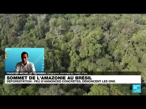 Sommet sur l’Amazonie : le Brésil est de retour • FRANCE 24