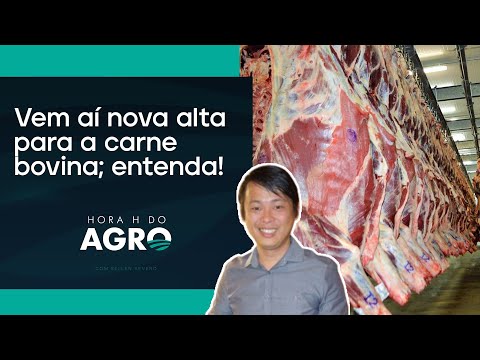 Carne mais barata está com os dias contados, diz consultoria | HORA H DO AGRO