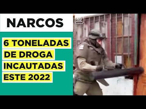 Más de 700 detenidos: 6 toneladas de droga incautada este 2022