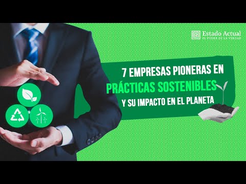 Las 7 empresas pioneras en prácticas sostenibles y su impacto en el planeta