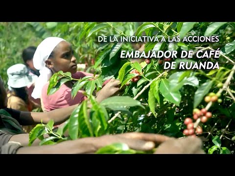 De la iniciativa a las acciones: Embajador de Café de Ruanda | Documental