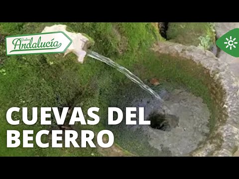Destino Andalucía | Cuevas del Becerro, el municipio de origen mozárabe de la comarca del Guadalteba