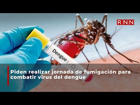 Piden realizar jornada de fumigación para combatir virus del dengue