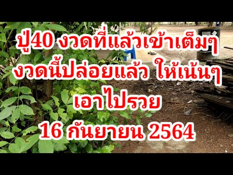 ปู่40-งสดที่เเล้วเข้าเต็มไป-งว ปู่40-งสดที่เเล้วเข้าเต็มไป-งว