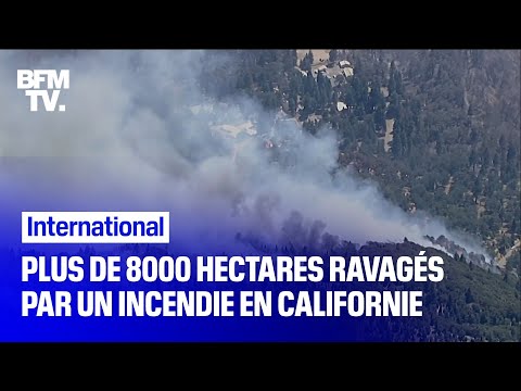 Plus de 8000 hectares ravagés par un incendie en Californie
