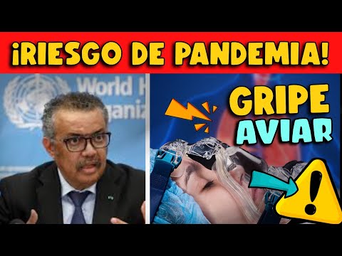 ¡CUIDADO! OMS REVELA CÓMO ES LA NEUMONÍA POR GRIPE AVIAR - NEUMONIA H5N1