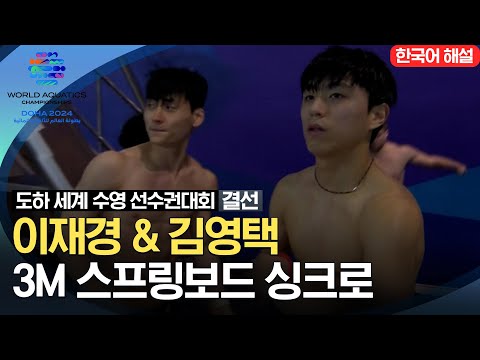 [2024 도하 세계수영선수권대회] 이재경& 김영택 3m  스프링보드 싱크로 결선 하이라이트