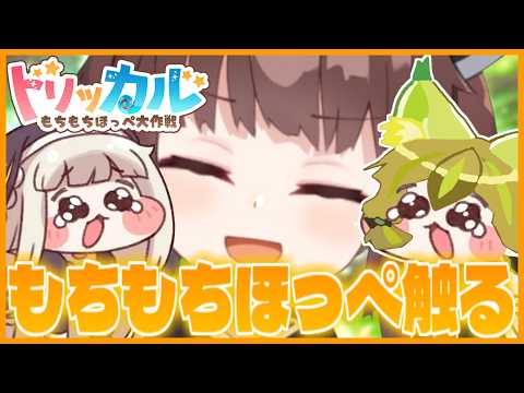 【4日目】明日から収監予定なので、今日はもちもちほっぺで癒されよう!【トリッカル・もちもちほっペ大作戦 】【VOICEROID実況】