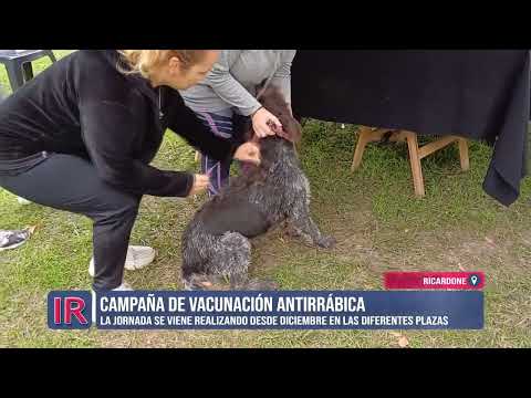 Campaña de vacunación antirrábica en Ricardone