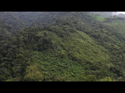 Ituango: alertan turismo ilegal en Paramillo - Teleantioquia Noticias