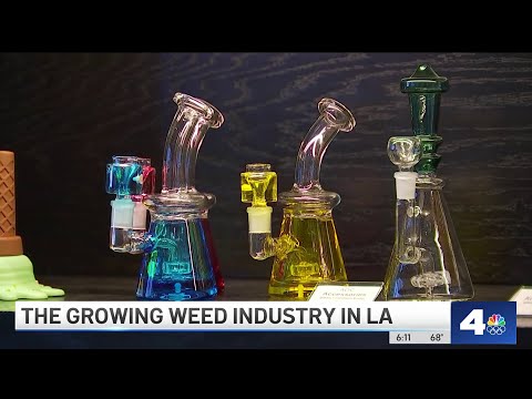 Marijuana enthusiasts celebrate weed's strides on 4/20