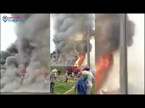 Incendio devora más de 30 toneladas de tabaco en escogida en Pinar del Río