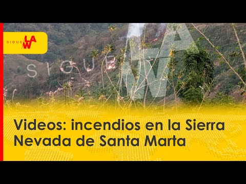 Videos: incendios en la Sierra Nevada de Santa Marta