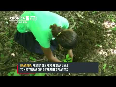 Realizan lanzamiento de jornada departamental de reforestación en Nandaime - Nicaragua